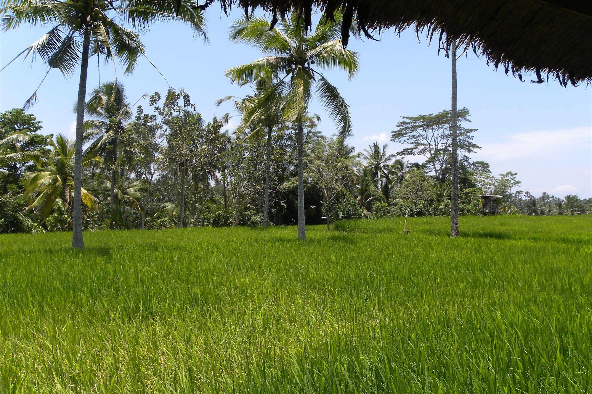 Saudara Home Ubud Экстерьер фото